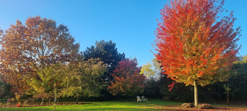 Newbury Farm Arboretum